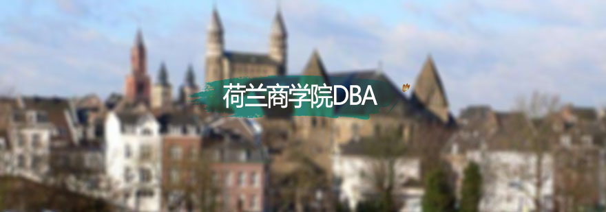 荷兰商学院DBA工商管理博士