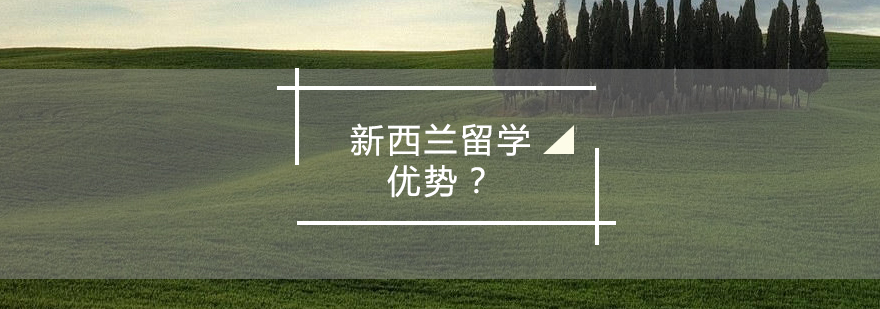 留学申请流程