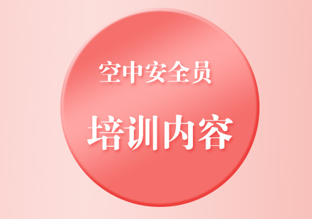 航空安全保卫人才培养全解析
