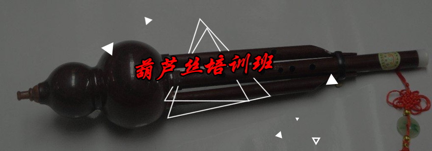 葫芦丝演奏教学现场