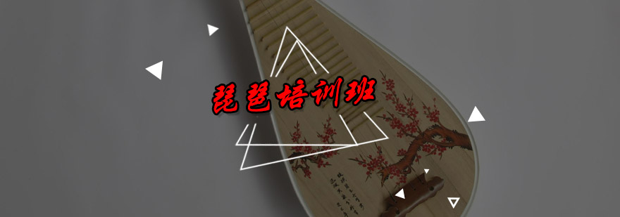 传统琵琶教学现场