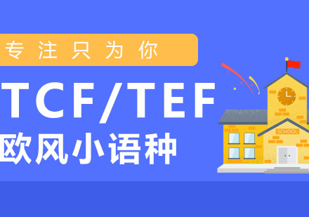 TCF/TEF强化班