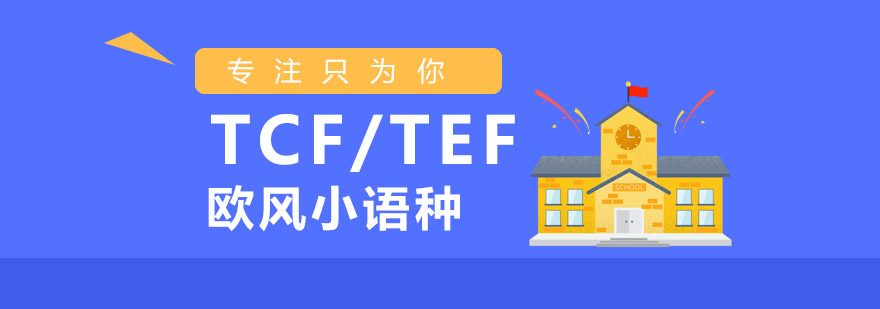 TCFTEF课程结构图示