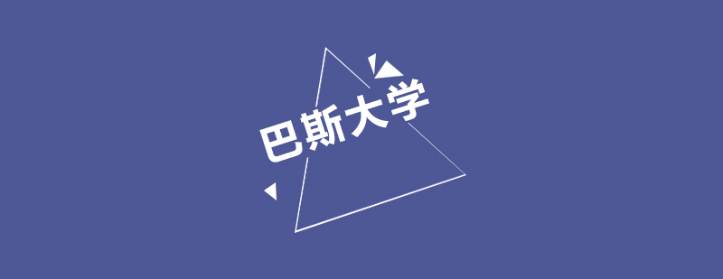 巴斯大学校园全景