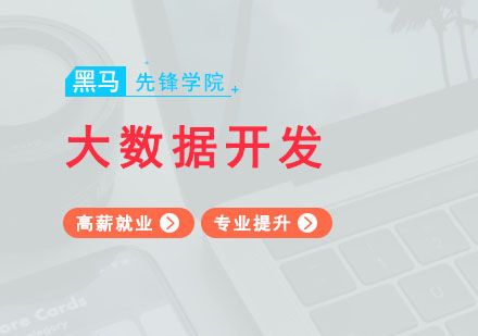 广州大数据开发高薪班