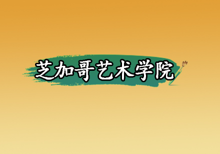 芝加哥艺术学院纯艺术专业深度解析