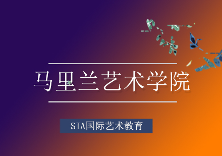马里兰艺术学院深度解析