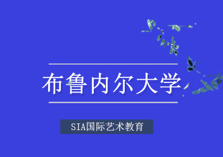 布鲁内尔大学四大王牌专业深度解析