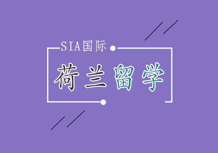 荷兰艺术留学全解析