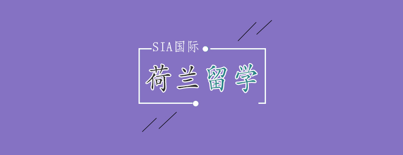 荷兰留学课堂实景