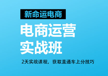 广州电商运营实战班