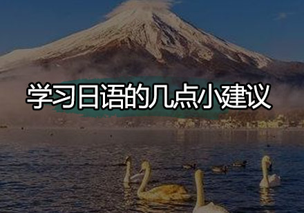 日语高效学习策略与课程特色解析
