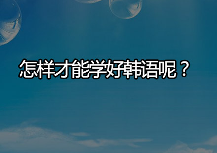 韩语高效学习路径解析