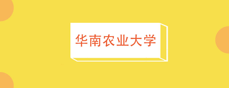 华南农大校门实景