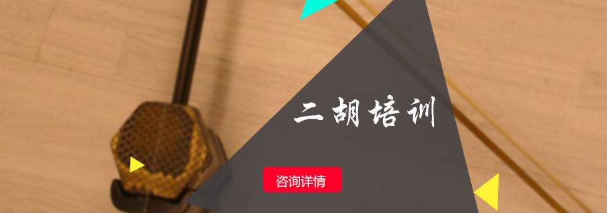 二胡技法教学