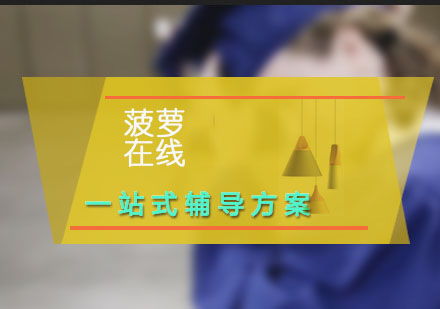國際化學(xué)校一站式輔導(dǎo)
