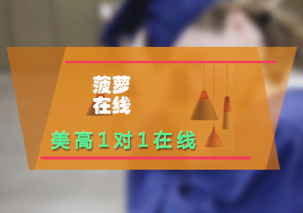 美高課程在線一對一輔導(dǎo)