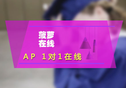 AP國際課程在線一對一輔導(dǎo)