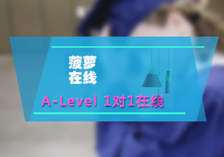 A-Level在线一对一辅导课程