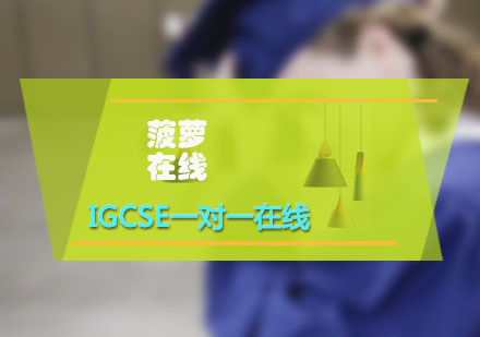 上海国际中学IGCSE课程一对一在线辅导