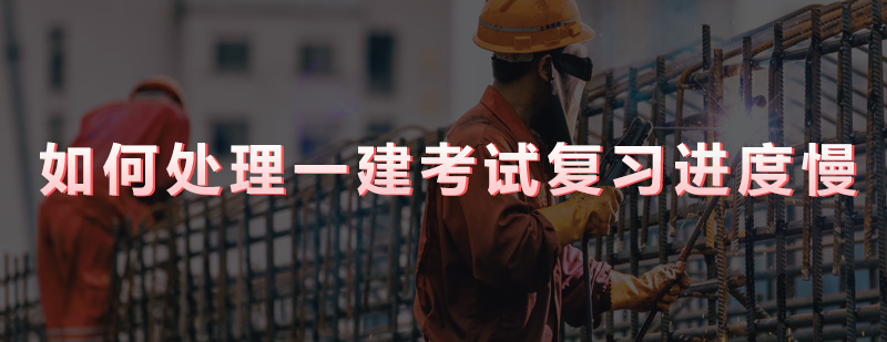备考策略对比