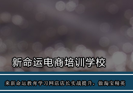 新命运电商精英实战训练课程解析