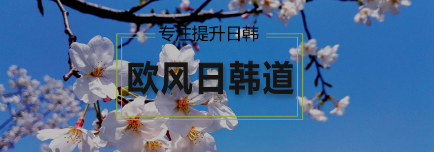 日语学习路径
