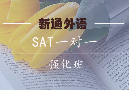 长沙SAT一对一强化班