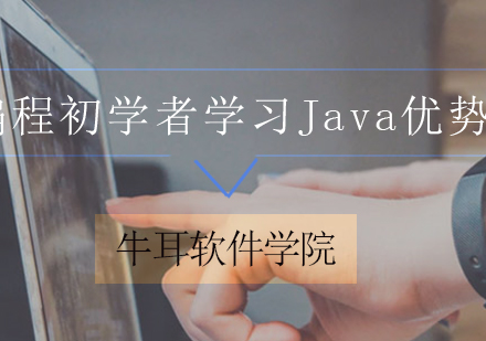Java编程入门优势深度解析