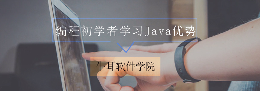 编程初学者学习Java优势