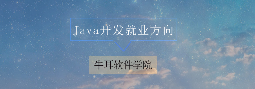 Java开发*方向