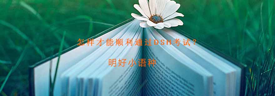 德语教学实景