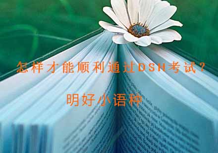 DSH考试通关全攻略