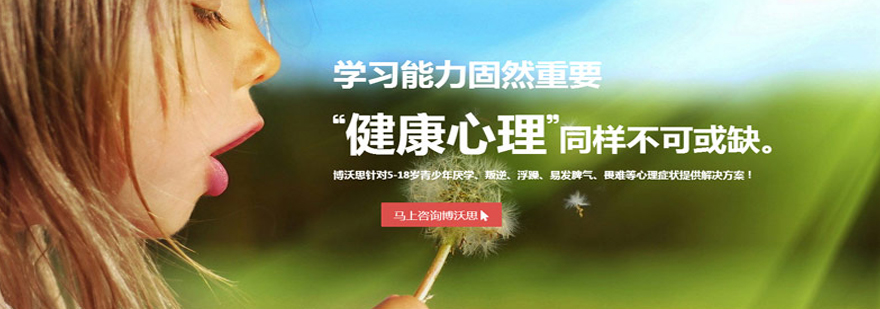 心理辅导成果展示