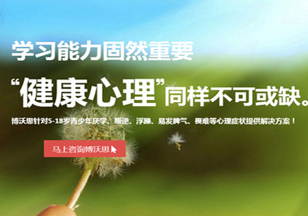 博沃思心理辅导课程特色解析与教学优势