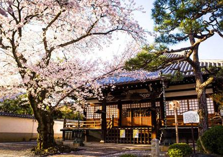 日本留学核心优势深度解析