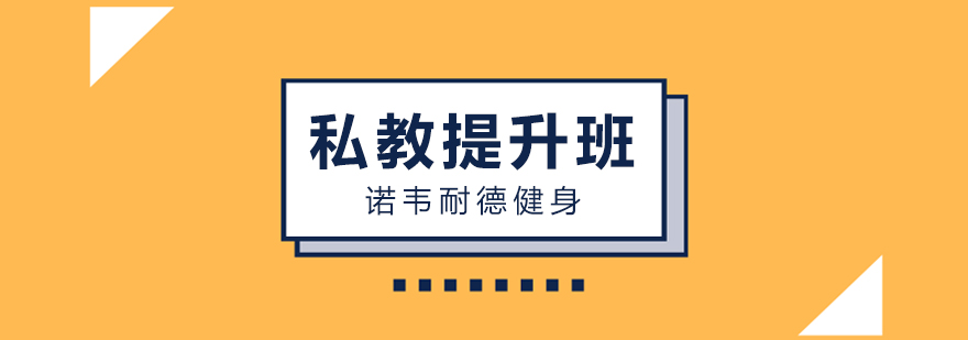 职业发展指导