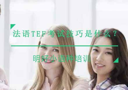 法语TEF考试技巧深度解析