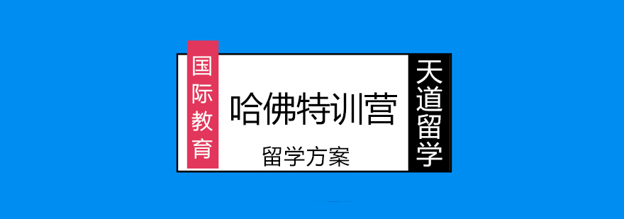 哈佛校园实景