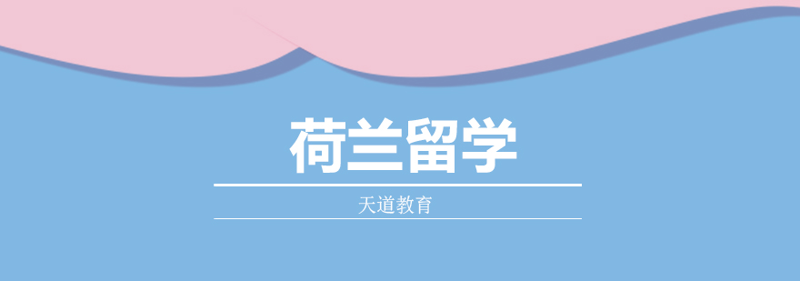 荷兰留学培训服务