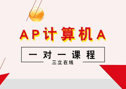 AP计算机A一对一课程