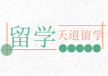 女生留学申请优势深度解读与专业选择指南