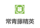 武汉常青藤精英