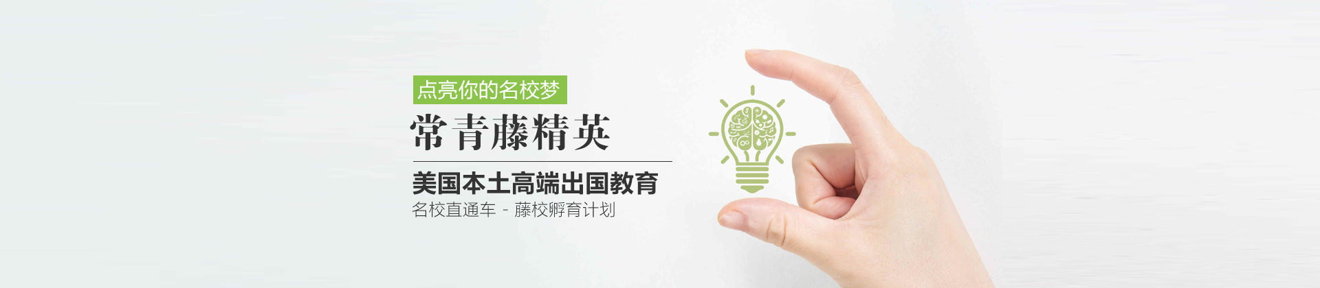 武汉常青藤精英