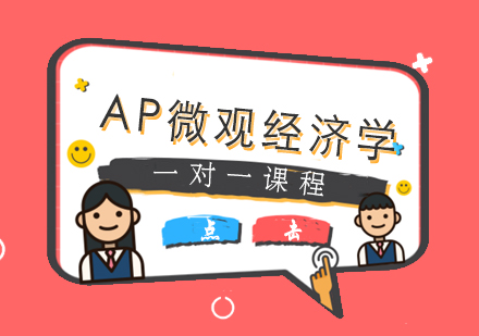 AP微观经济学一对一课程