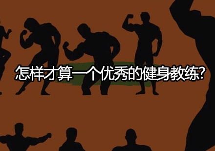 专业健身教练必备的五大核心素质解析