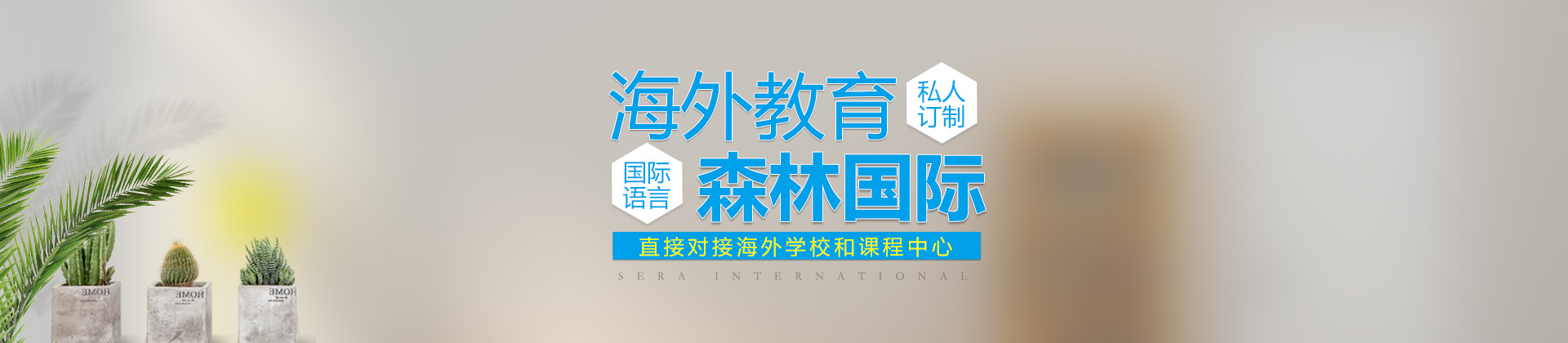 福州森林国际教育