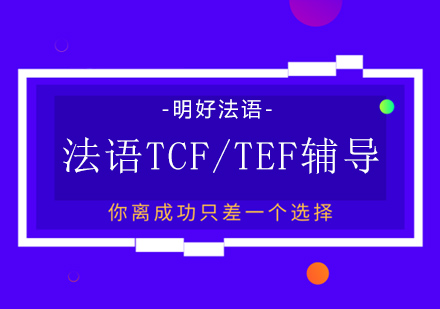 法语TCF/TEF考前培训