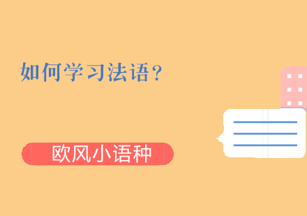 法语系统培训课程全解析