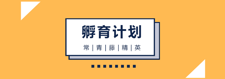藤校申请规划体系